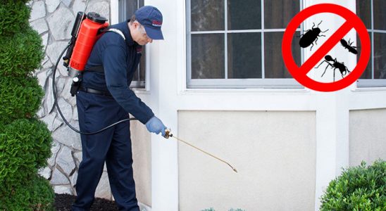 Helvacı Böcek İlaçlama böcek ilaçlama ve haşere kontrolü — ilaclama-tr.com